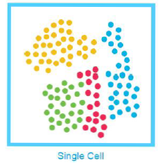 单细胞转录组